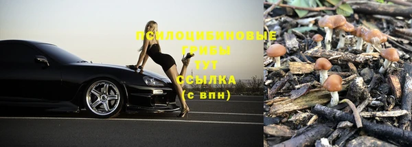 mdma Майский