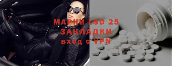 хмурый Магас