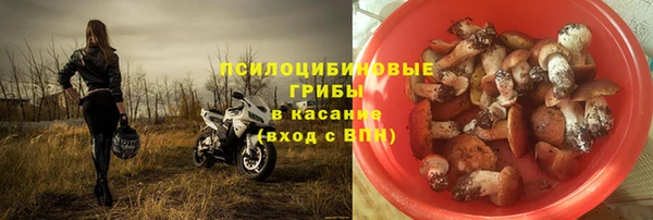 бошки Ельня