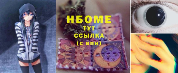 хмурый Магас