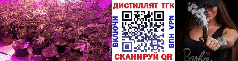 купить   Вышний Волочёк  ТГК вейп 